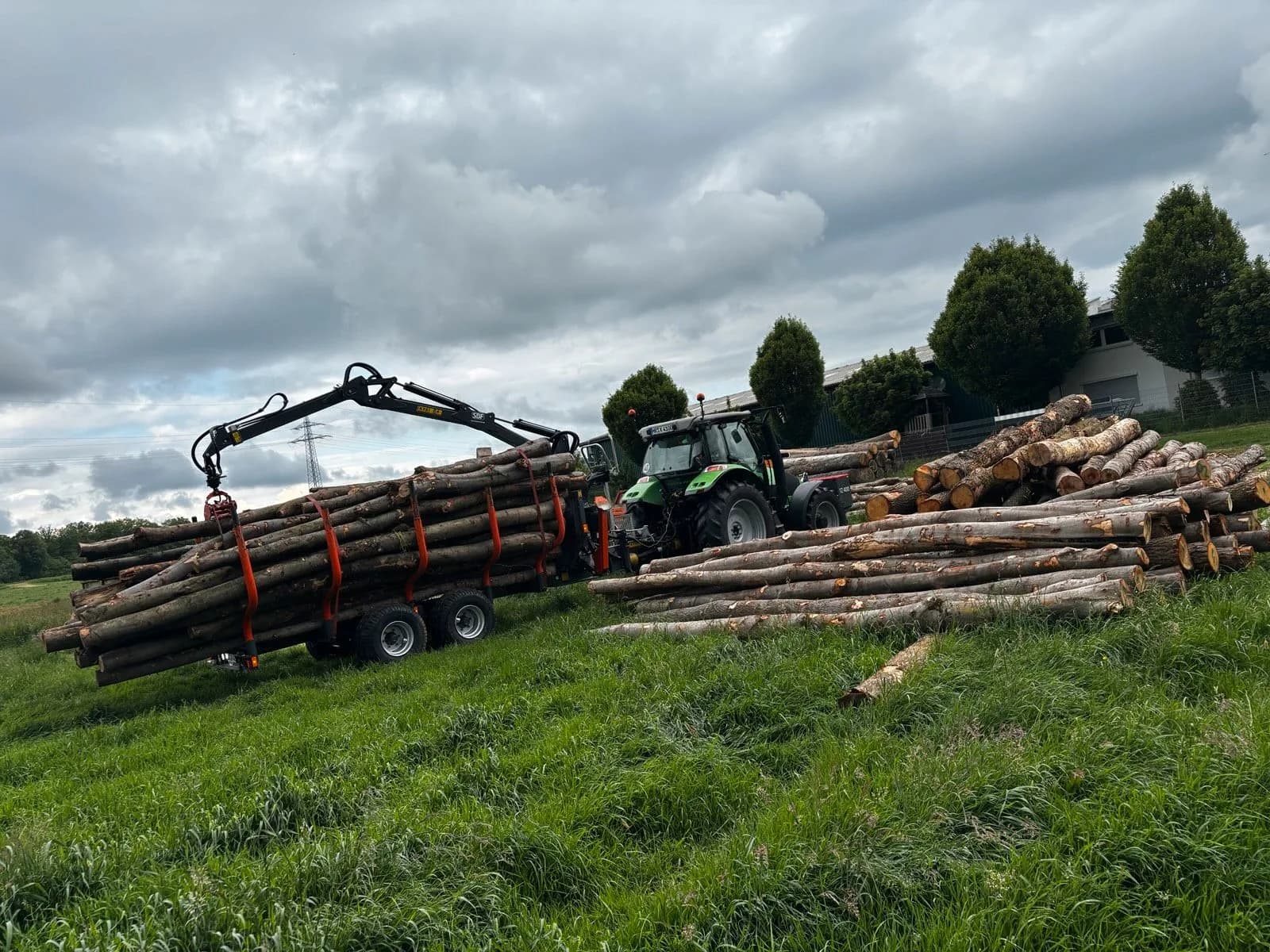 Langholz wird auf einer Wiese abgeladen