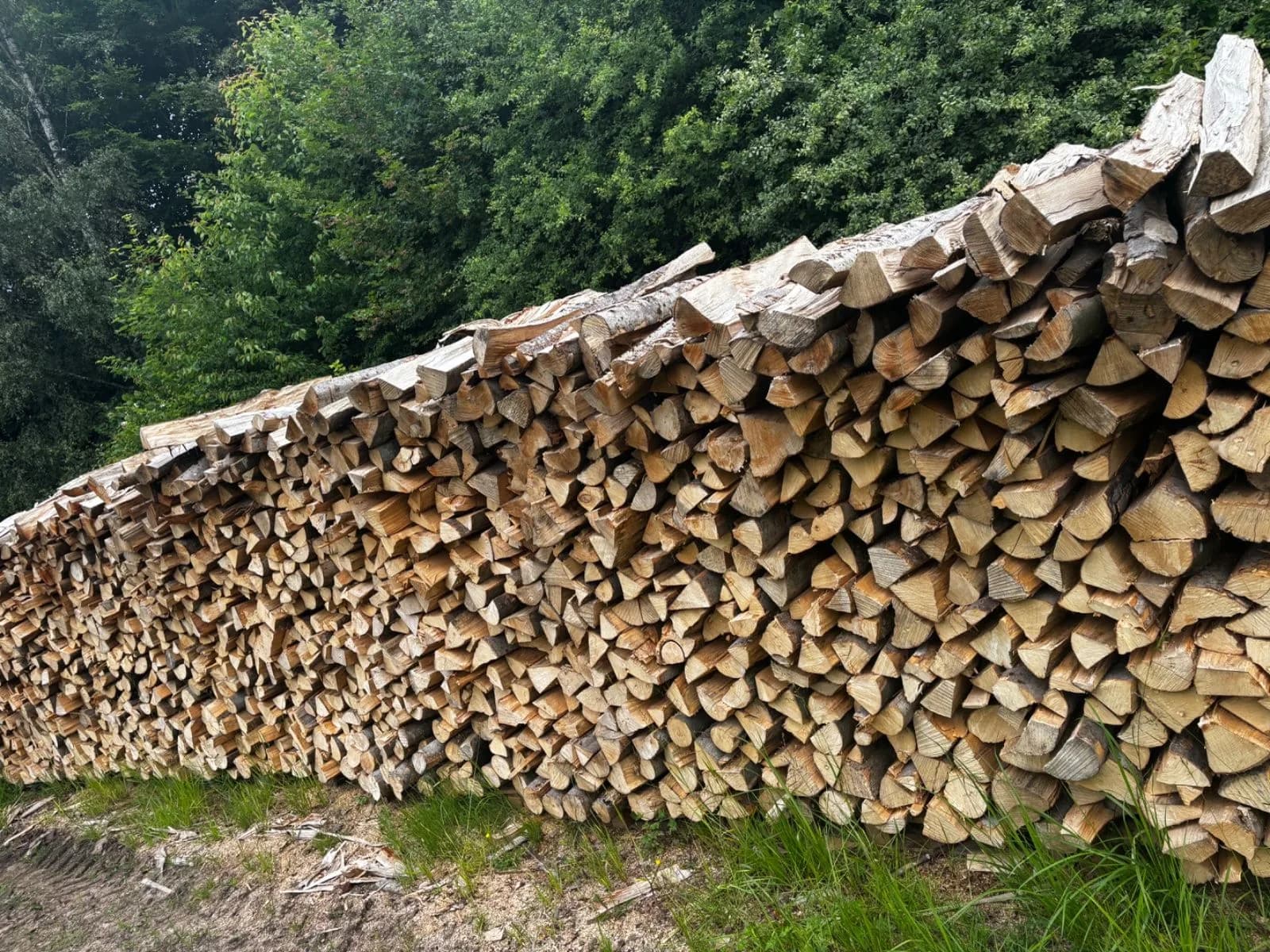 Langer Meterholzstapel am Waldrand