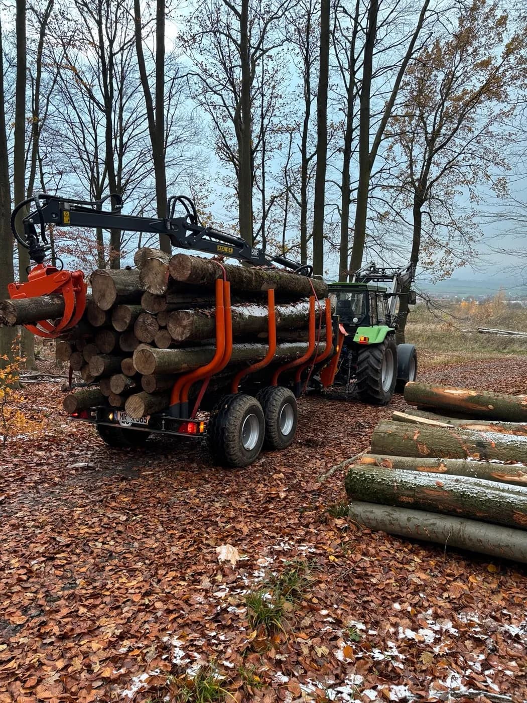Beladener Rückewagen im herbstlichen Buchenwald