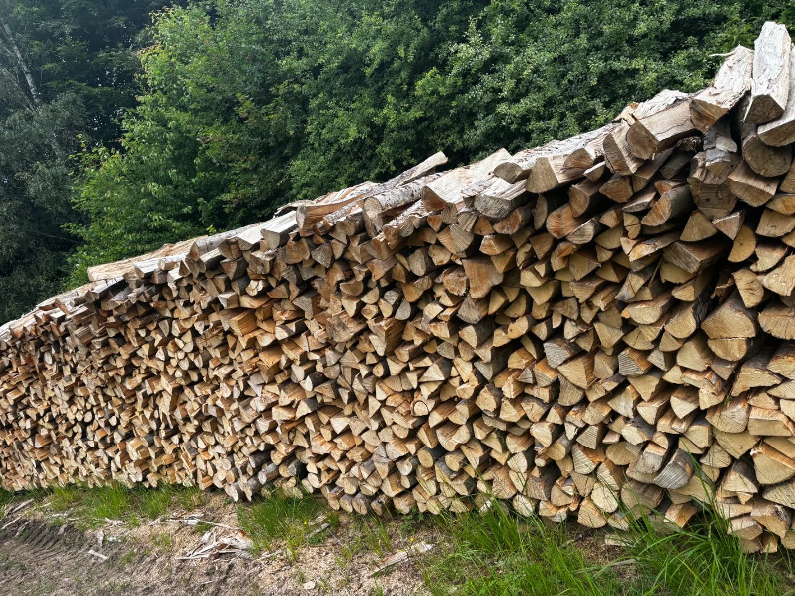 Langer Meterholzstapel am Waldrand